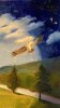 EE251625-240F-45EB-9CCB-888C7869371C.jpeg